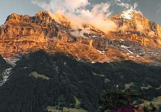 Paroi rocheuse escarpée d'un sommet dans la lumière chaude du soir, entourée de nuages, avec des fleurs rouges et des forêts verdoyantes dans la vallée au premier plan. © Jungfrau Region Tourismus AG