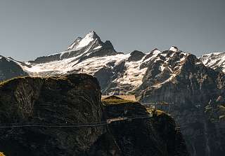 Passerelle le long d'une paroi rocheuse avec vue sur des sommets enneigés et un glacier en arrière-plan. © Jungfrau Region Tourismus