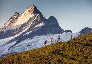 Trois coureurs de trail sur un sentier de montagne à Grindelwald, avec un sommet enneigé dans la lumière du soir en arrière-plan. © Jungfrau Region Tourismus AG