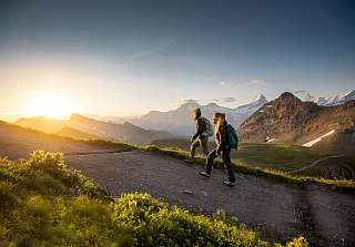 Deux randonneurs avec sacs à dos sur le sentier menant au Faulhorn au coucher du soleil, entourés de prairies alpines verdoyantes et de sommets enneigés. © Jungfrau Region Tourismus AG