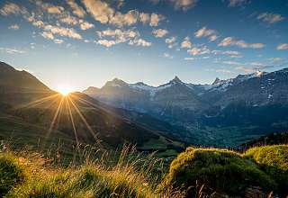 Coucher de soleil dramatique sur la vallée de Grindelwald avec un rayon de soleil derrière les montagnes, vue sur l'Eiger et le Schreckhorn, prairies verdoyantes et fleurs sauvages au premier plan.