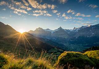 Sunstar Swiss Hotel Collection - Grindelwald Bestpreisgarantie