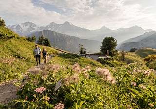 Two hikers on a mountain trail above Grindelwald, surrounded by blooming wildflowers with a view of the majestic Bernese Oberland alpine panorama — Sunstar Hotel Grindelwald.